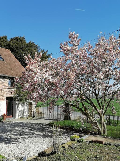 Gite Rural La Ferme Du Semeur-Zaaiershof Lessines Exterior foto